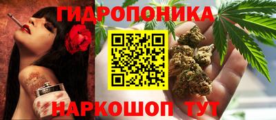 спиды Кунгур